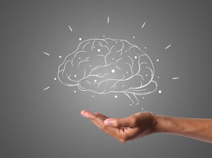 A Human Brain’s Final Lap Recorded