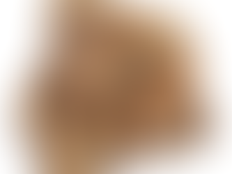 🔥 Bois de chauffage certifié : Pourquoi et comment bien le choisir ?