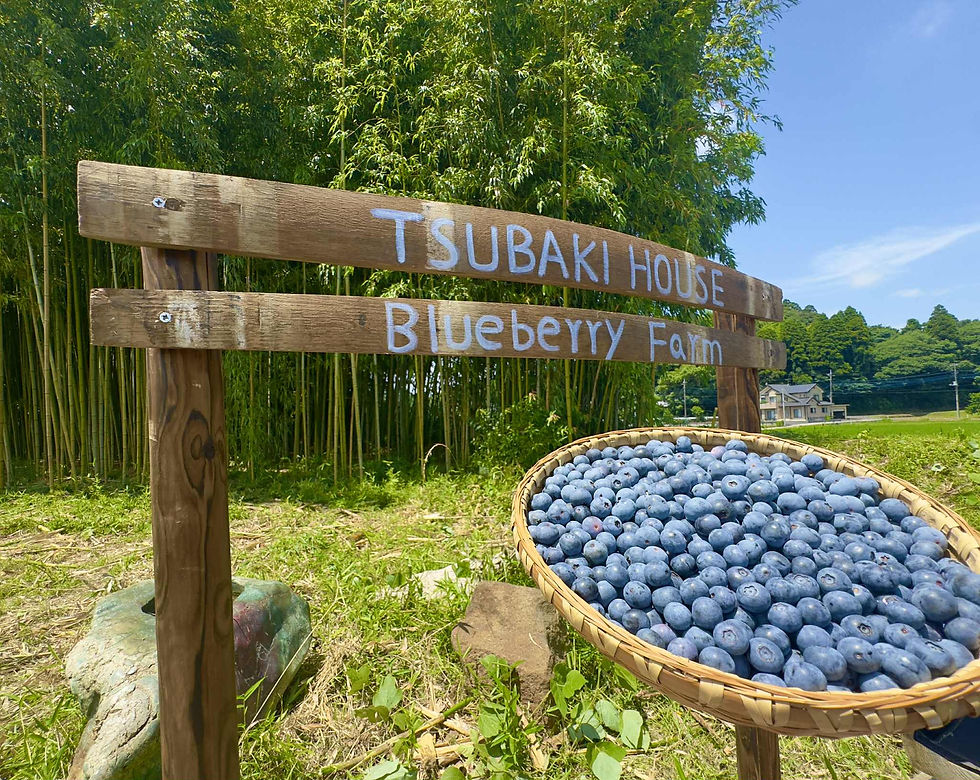 f590713a-35c7-4374-875a-22c254ef71e5