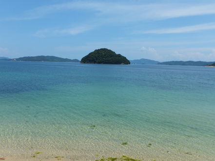 7月のジャム屋日記
