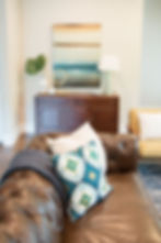 TLD Modern Living Room