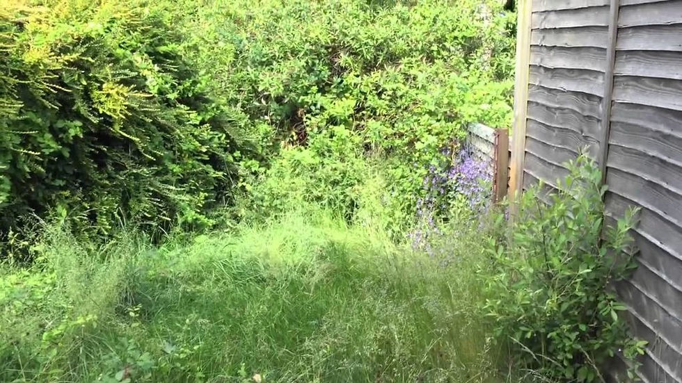 Leeds Lawns & Landscapes