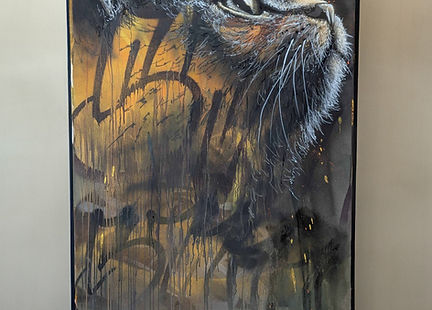 Realistische Graffiti-Kunst auf Leinwand mit Katzenmotiv, mit Sprühdose gemalt, Format 80 × 120 cm, hochwertiges Unikat zum Kunstverkauf in der Schweiz