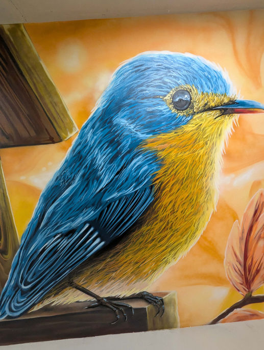 Bunte Vogel-Wandmalerei zur Aufwertung von Flur- und Aufenthaltsbereichen, individuelle Wandgestaltung für Institutionen im Jahr 2025