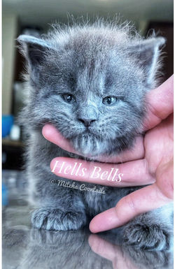 661781840_26449326938013371_8748178417559893326_n