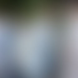 Dolce & Gabbana, Alta Sartoria, el gran espectáculo de la moda