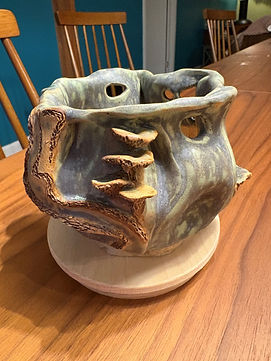 Fungi Pot V2.jpg