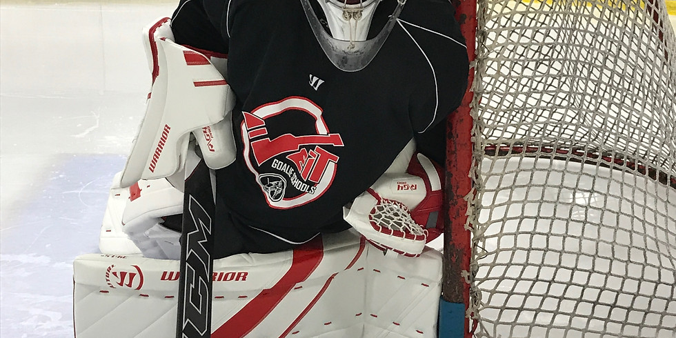 Intermediate/Beginner Technical development clinic Aug 21-23 ($525) (1)