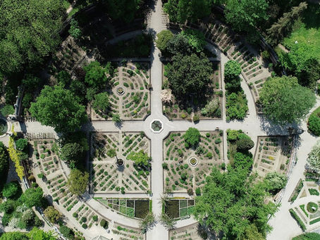 orto botanico padova