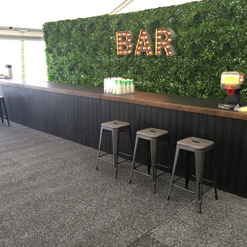 Green Wall / Backdrop Event Impressions