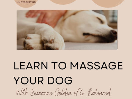 Learn to Massage Your Dog & More