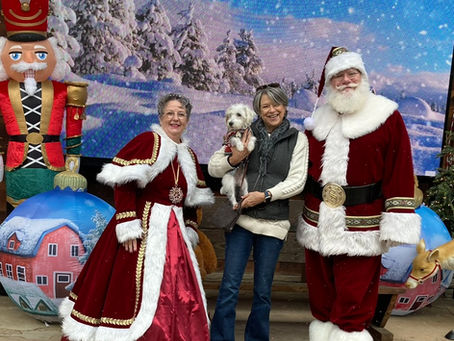 Happy Holidays
