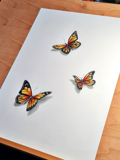 Realistische Buntstiftzeichnung von drei Schmetterlingen - handgezeichnet von AnnaLaVistaART