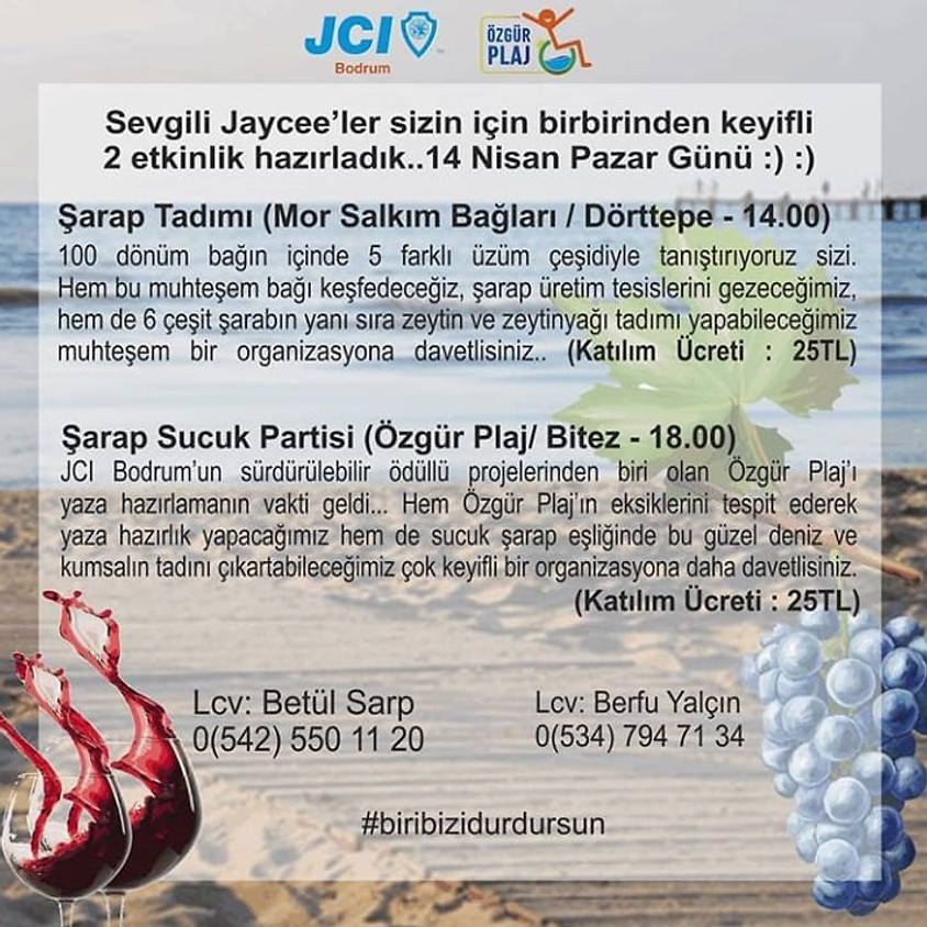 JCI Bodrum Mor Salkım Bağları Üretim Tesisi Etkinliği