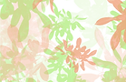 Untitled design-61.png