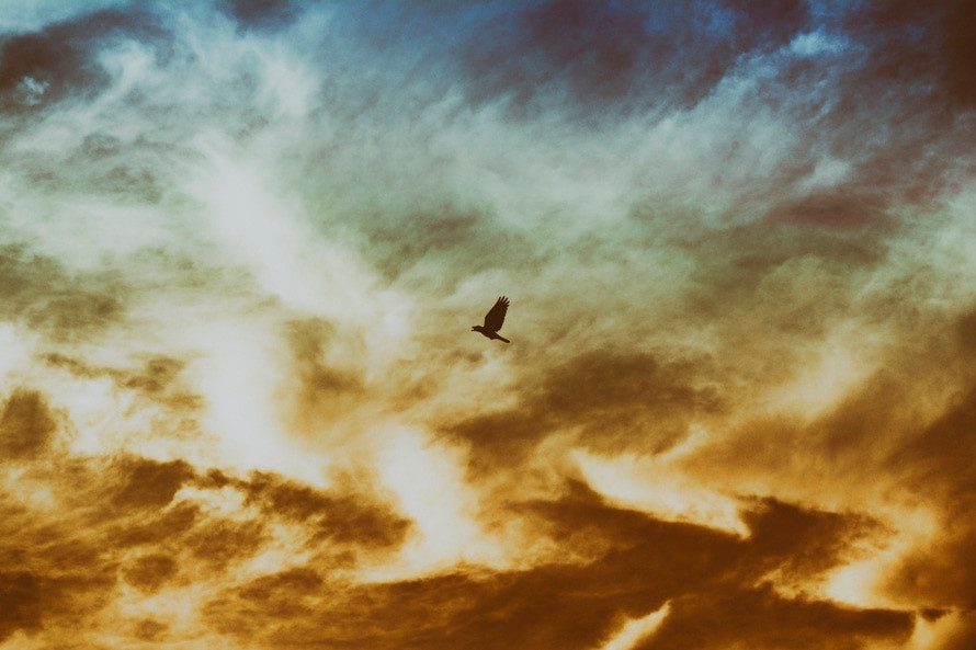 Self-Development - Bringing Out the Best in You