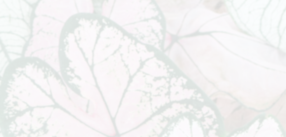 logotipo de sustainable teacher