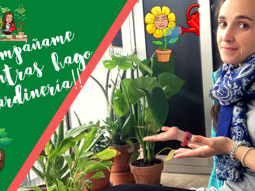 Tour por las plantas de mi casa | Acompáñame mientras hago jardinería | Vlog