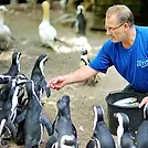 Colleges (58).png.webp