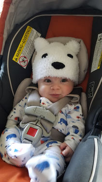 Pieces to the Puzzle