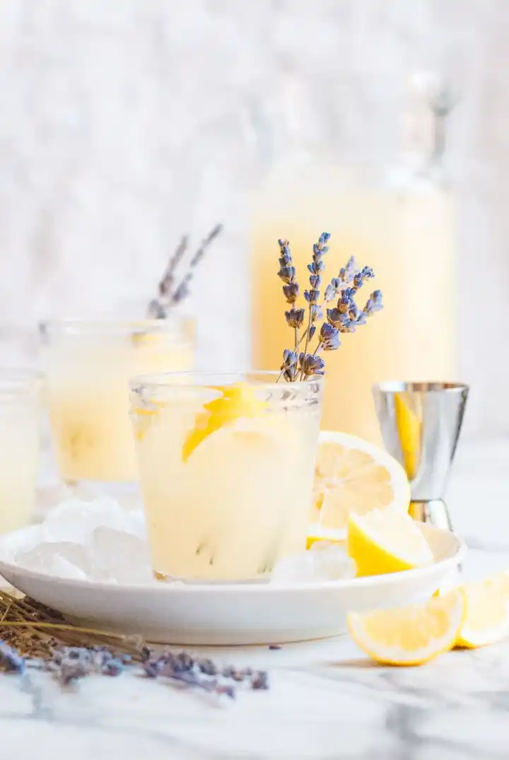 homemade lemonade recipe