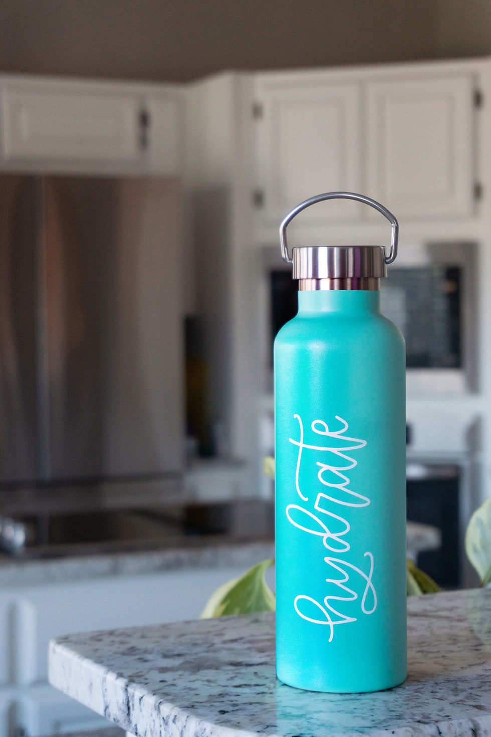 Thumbnail: Stainless Steel Water Bottle - Hydrate