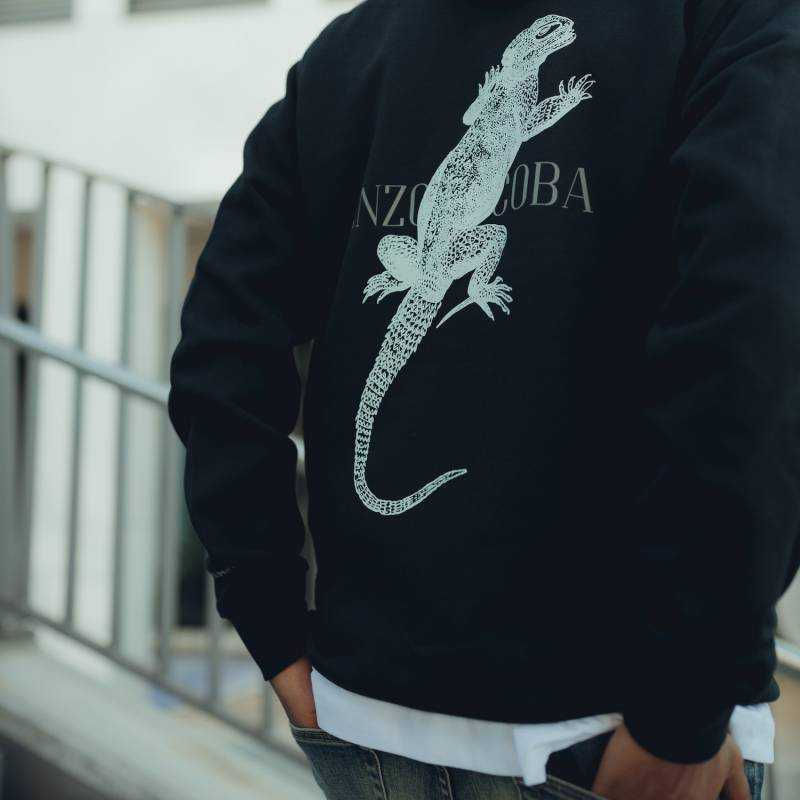 Miniaturbild: Produktbild Herren Bio-Baumwoll HOODIE "EE PODARCIS", schwarz, hintere-seitliche Ansicht, Nahaufnahme