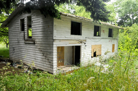 image 9 - real.jpeg
