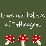 Laws Politics