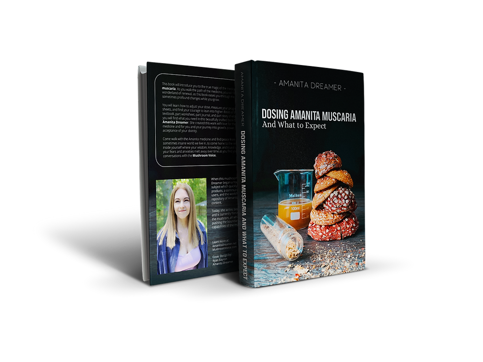 book mockup_1a (1)