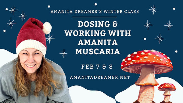 Winter Class Agenda Presentation in Blue and White Cartoon Graphic Style (4).jpg