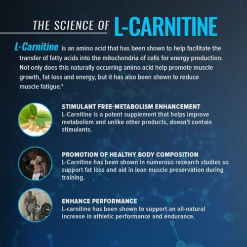 rsp nutrition l carnitine RSP Nutrition Liquid L-Carnitine (31 Servings), Berry