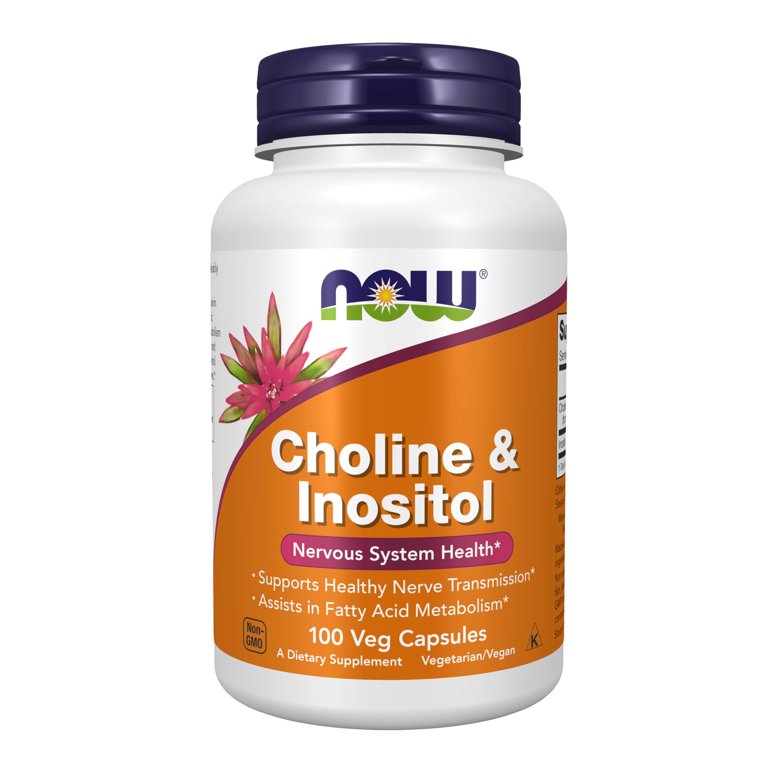NOW Foods Choline & Inositol (100 Veg Capsules)
