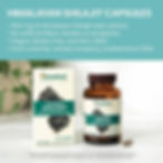 Thumbnail: Himalaya Shilajit (60 Capsules)
