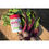 Thumbnail: Country Farms Bountiful Beets Powder (30 Servings), Cherry