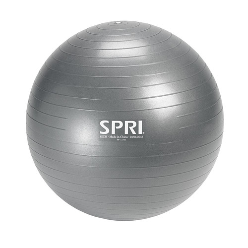 SPRI Weighted Stability Exercise Ball (65 CM)