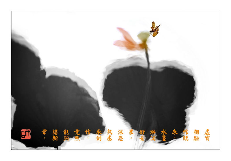 01-LUK_6389-ok3zs