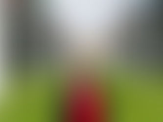 Vozes Jovens pelo Desarmamento: A Experiência da ativista Maria Magalhães na 22ª Reunião dos Estados Partes do Tratado de Erradicação de Minas Terrestres 2025