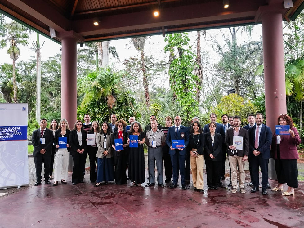 DHESARME participa de encontro regional sobre gestão, rastreabilidade e prevenção do tráfico ilícito de munições no MERCOSUL