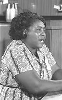 FannieLouHamer.jpeg