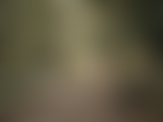 Overcoming the Challenges of Midlife Crisis: Navigating Life Transitions with Grace