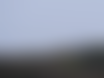 England's only mountain hare population is thriving, new study shows