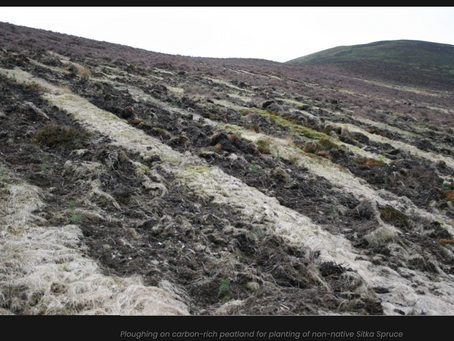 Publicly funded environmental vandalism ripe across the Scottish Uplands