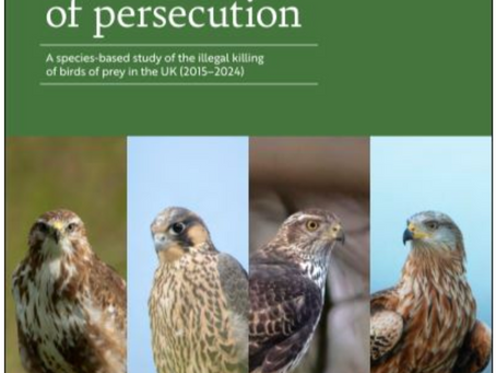 The RSPB, the National Wildlife Crime Unit and what Defra is about to be told