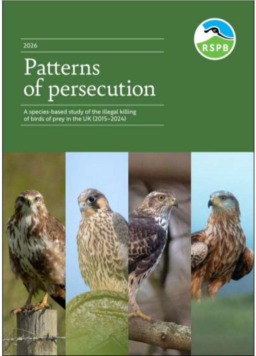 The RSPB, the National Wildlife Crime Unit and what Defra is about to be told
