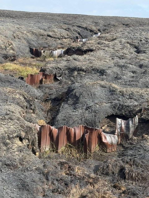 Wet and walk away: The National Trust Peak District Moor they said would not burn