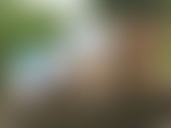 Northern Pennines Moorland Group distribute PPE to local NHS trusts