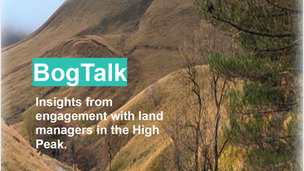 £53,000 for Seven Pages: The Bog Talk Fiasco