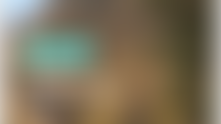 £53,000 for Seven Pages: The Bog Talk Fiasco