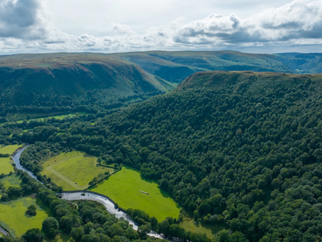 The RSPB Just Bought Another Welsh Hillside for Hen Harriers, Yet Refuses to Give a Target for Success